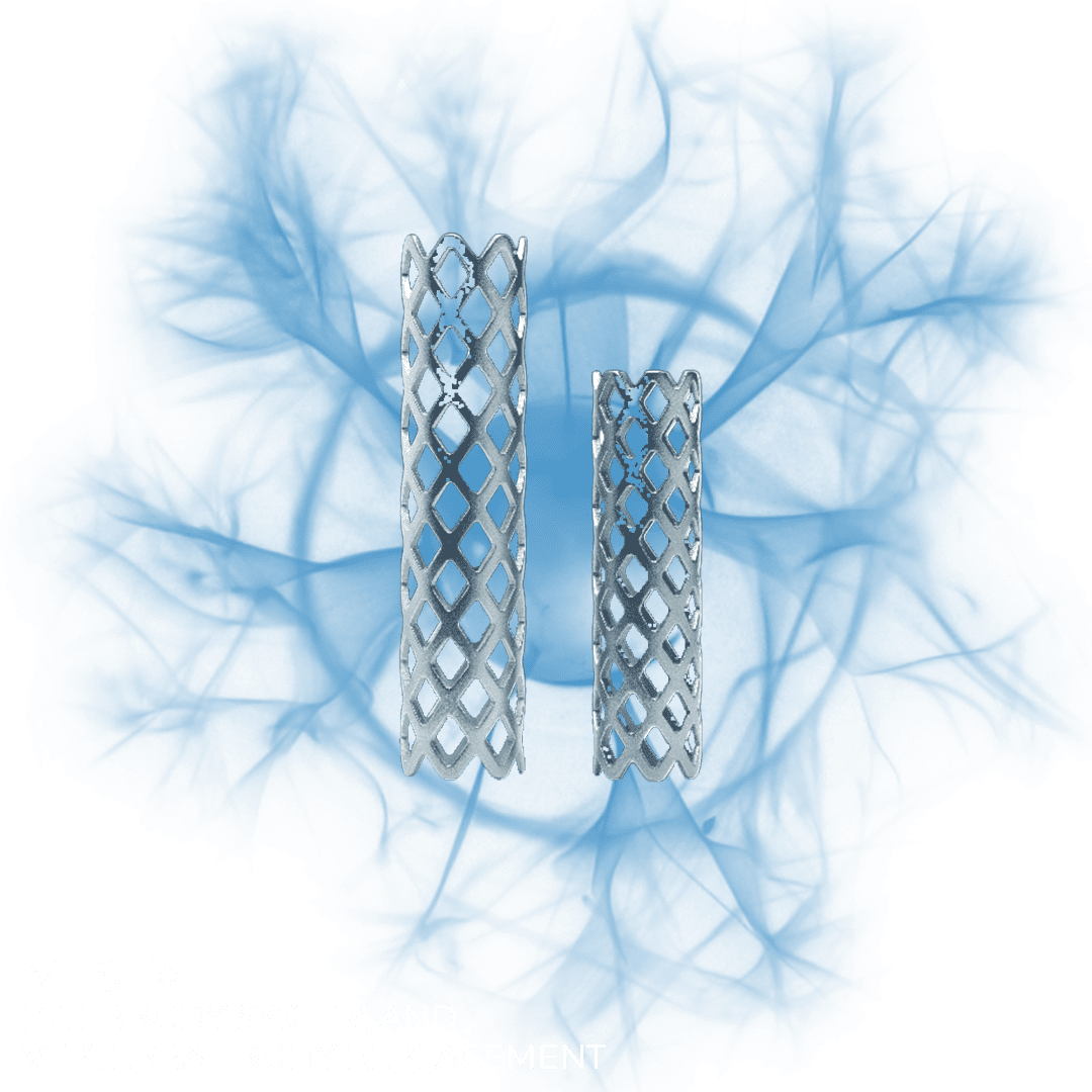 MESHPNG MESHPNG